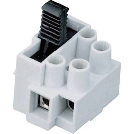 BORNIER DOMINO ADELS-CONTACT 170302V9 NOMBRE DE PÔLES: 2 NATUREL 1 PC(S)