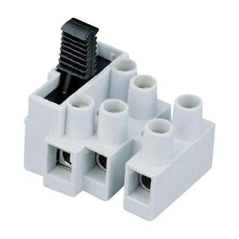 BORNIER DOMINO ADELS-CONTACT 503 SI/3 DS NOMBRE DE PÔLES: 3 NATUREL 1 PC(S)