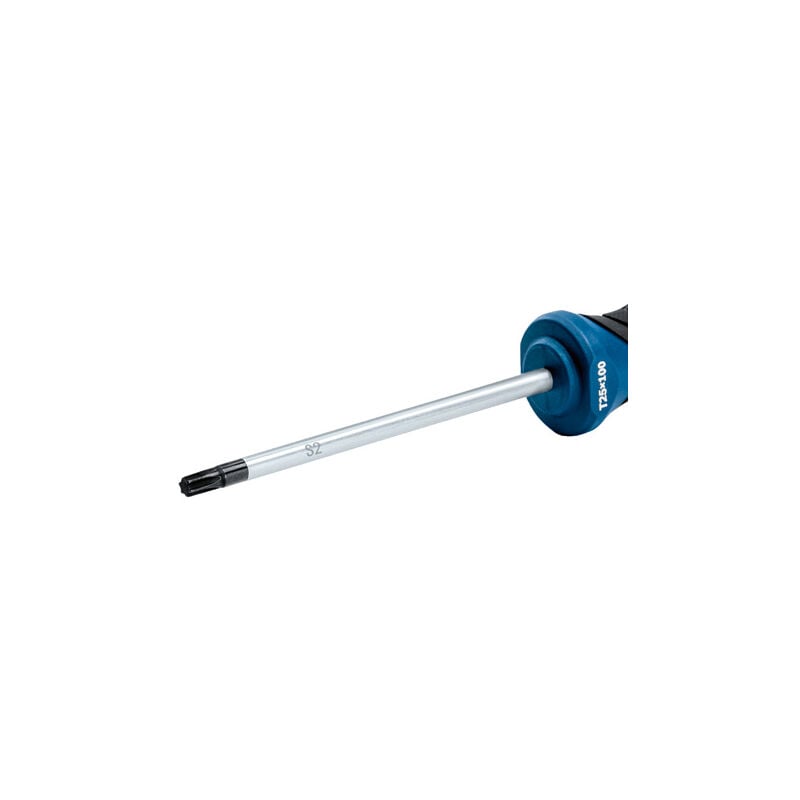 

BOSCH 1600A01V0D Destornillador Torx TX25X100