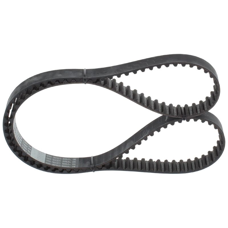 Cinghia Di Distribuzione 1987949562 Bosch