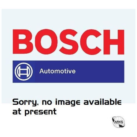 BOSCH 2 C5W Leds Retrofit navette