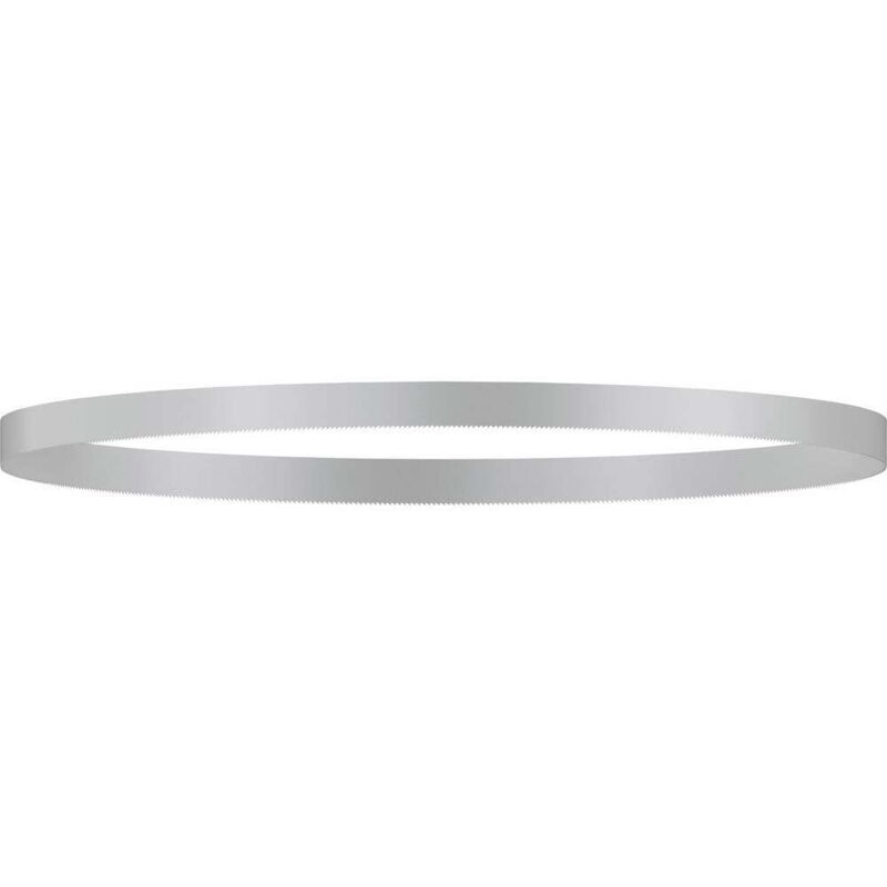 Lame de scie à ruban CB 2818 BIM pour GCB 18 V LI Professional BOSCH 2608649000 - vue 3
