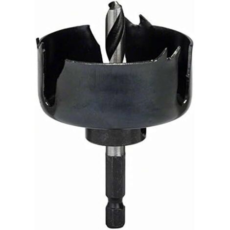 Bosch Accessories  2609256D05 Lochsäge  54 mm  1 St.