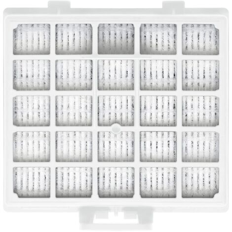 Bosch BBZ153HF - Filtro HEPA per aspirapolvere della serie BSG6