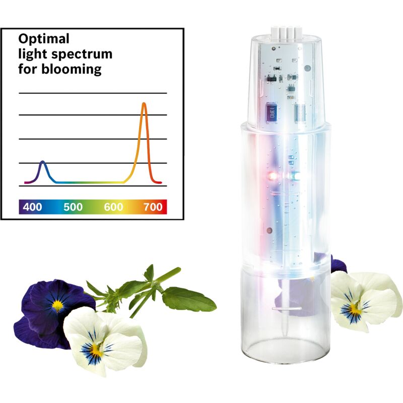 Blühlicht-Modul , MSGZHB3 - Bosch