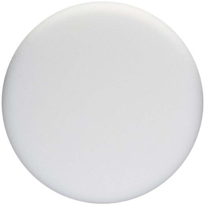 Disque mousse souple Ø 170 mm Ø 170 mm