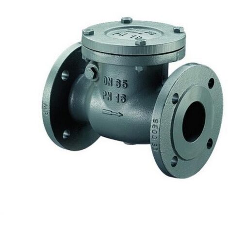 BOSCH Installationszubehör RK16-65 Rückschlagklappe PN 16 DN 65