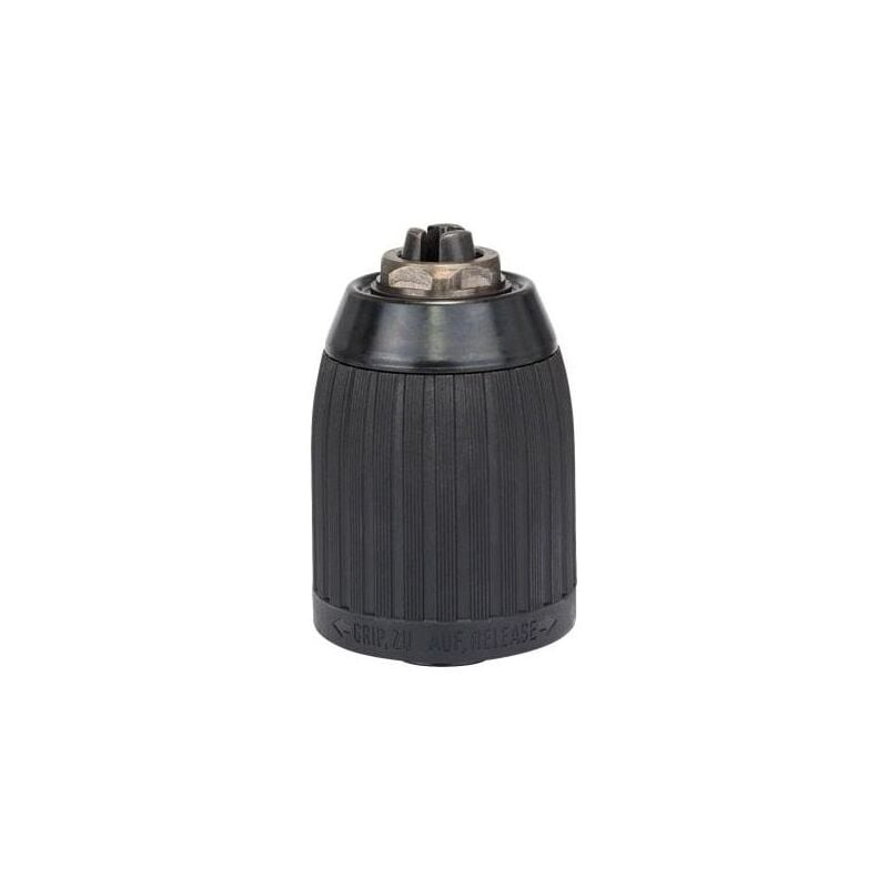 Bosch Mandrino Autoserrante