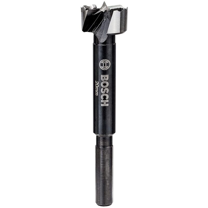 Professional Mèche à bois Forstner diamètre 20 mm ( 260925C140 ) din 7483G - Bosch