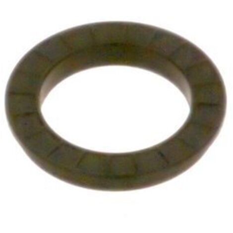 BOSCH O-Ring (5x), 7099710