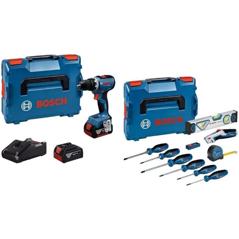 Bosch Professional GBA 18V 5.0Ah + GAL 18V-40 0615A5007K Werkzeugset