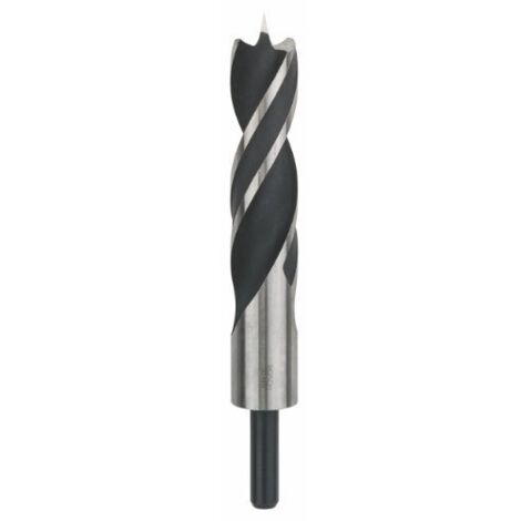 Bosch Professional 2608597208 Bosch Punta Elicoidale Standard per Legno, 30 x 145 x 220 mm, Ø 30 mm