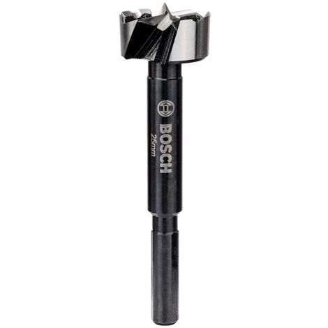 Bosch Professional Forstner Mèche de 25mm de diamètre DIN 7483G (260925C141)