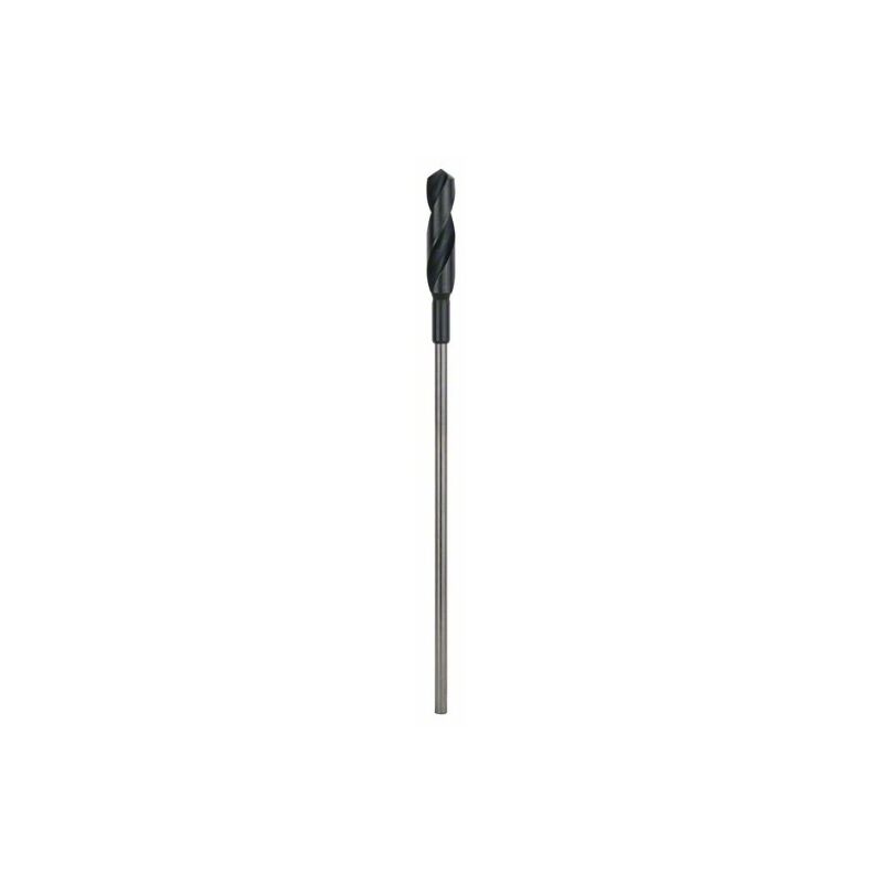 Accessories 2 608 597 167 - Embouts de coffrage e installations (22 x 400 mm), d 10 mm) - Bosch
