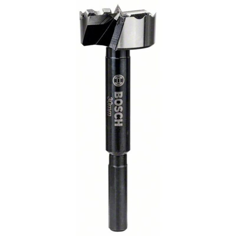 Bosch 2608577013 mèche à façonner forstner 2 608 577 013 30 x 90 mm d 8 mm ''toothed-edge, 1 w, 240 v
