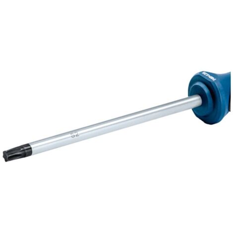 Bosch Professional Schraubendreher TX40X125 (1600A01V0F)