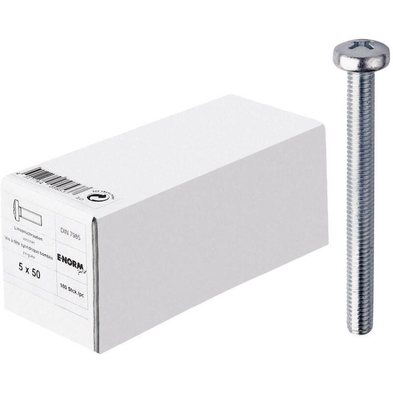 Din 7985 4.8 galZn -h M6x100 kp E-normpro