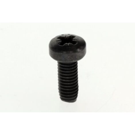 BOSCH Schraube M5x12 (10x), 87434010360