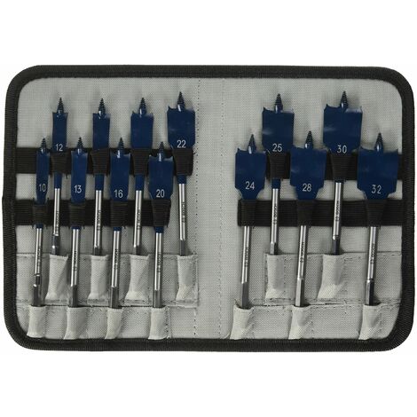 Bosch Selfcut speed 2608587010 - Set mecchie a spada 13 pezzi