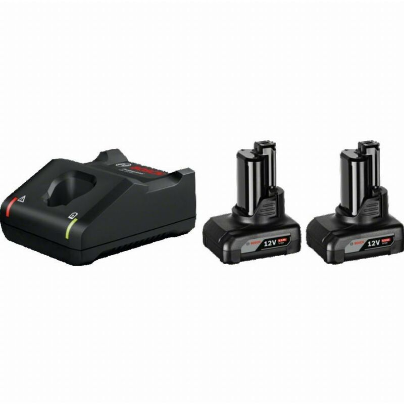 Confezione 2 batterie bosch 2 batterie gba 12V 6Ah + Caricatore GAL12V-40 - 1600A01B20