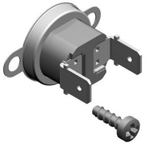BOSCH Temperaturfühler für T4304 10..
