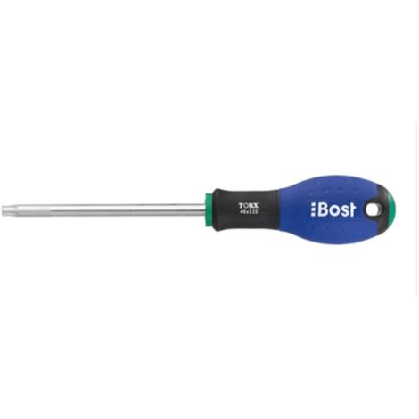 BOST - CACCIAVITE TORX T20X100