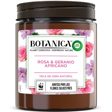 Botanica by Air Wick - Vela Aromática Perfumada, Ambientador Esencia Para Casa Con Aroma A Rosa y Geranio Africano - 205gr