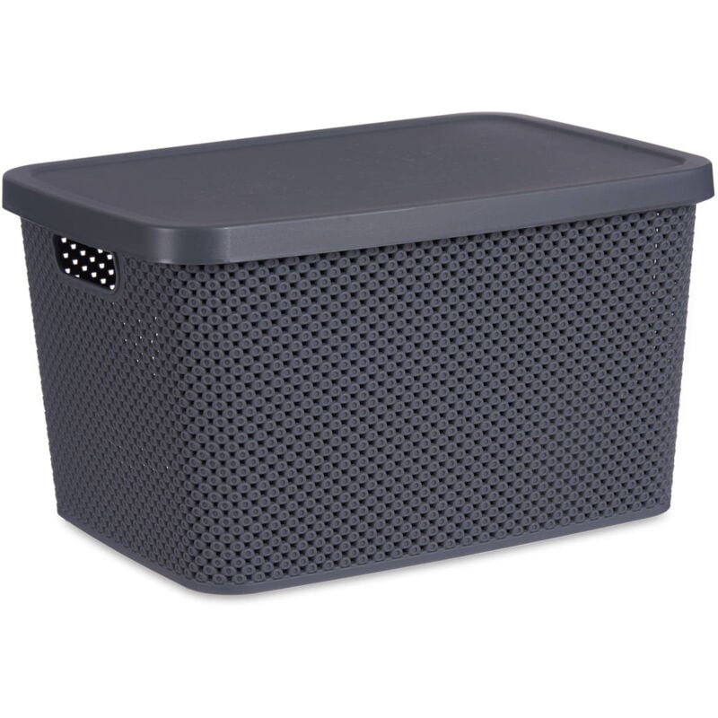 Panier en plastique avec couvercle, organiseur, 19 l