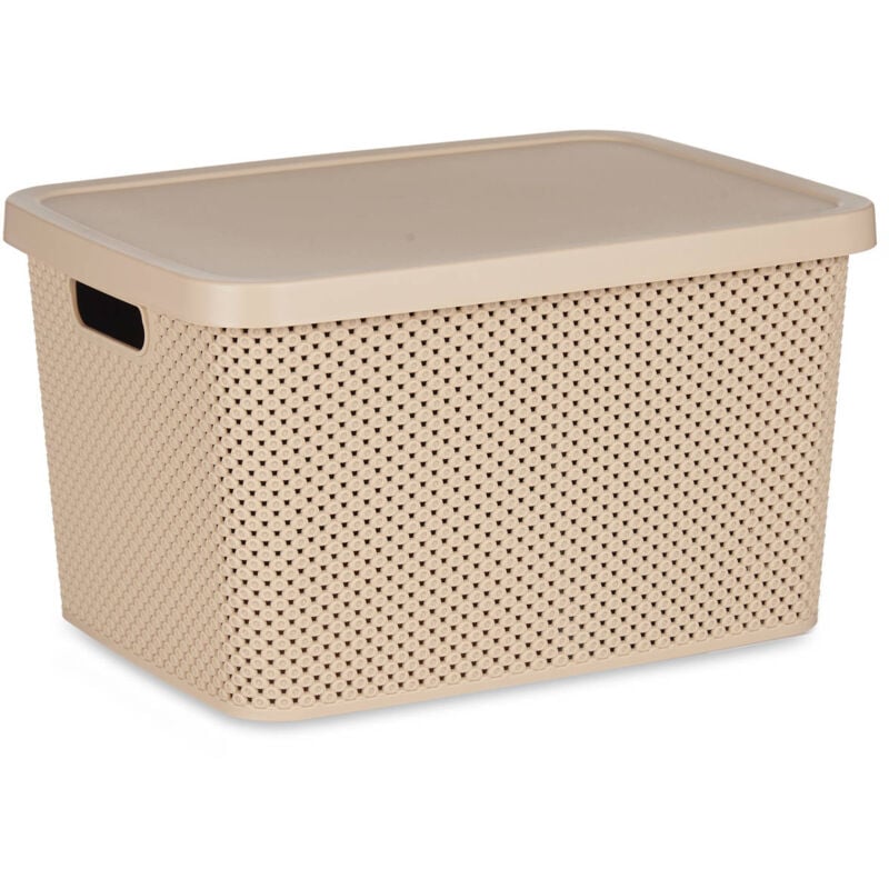 Panier en plastique avec couvercle, organiseur, 19 l