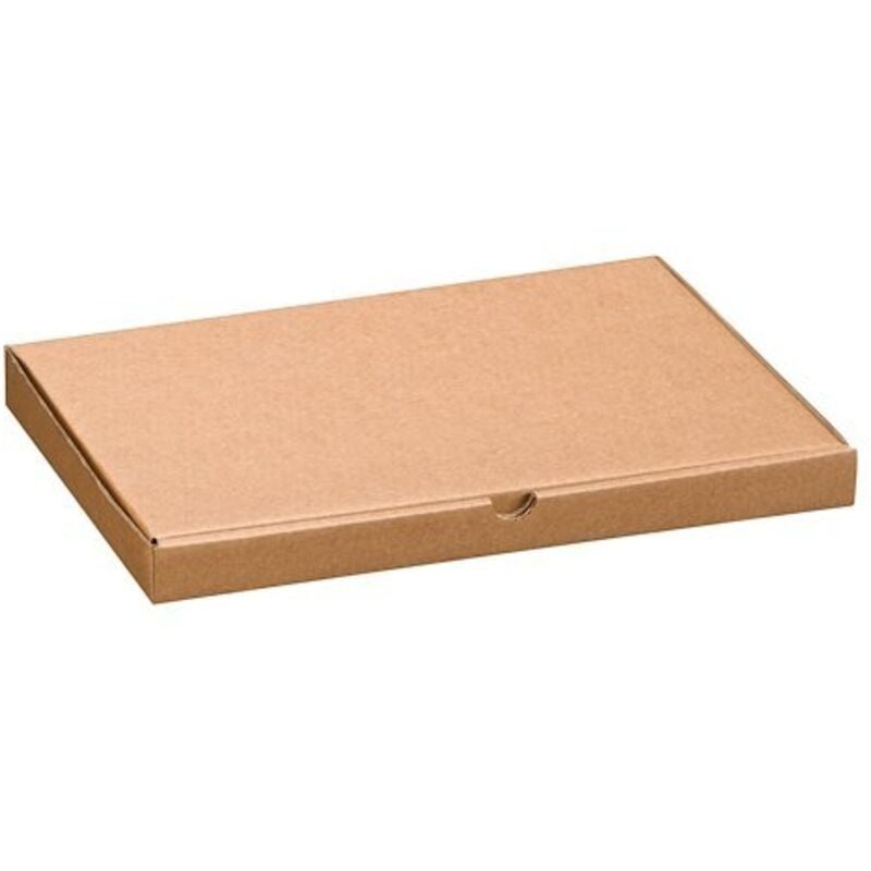 Boîte postale extra plate A4 - 30,5 x 22 x 2,5 cm - Lot de 50