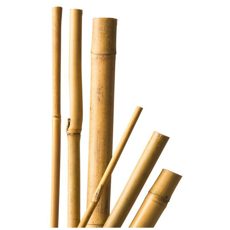10 Tuteurs en bambou Nature l - 60 cm / ø 6-8 mm Nature