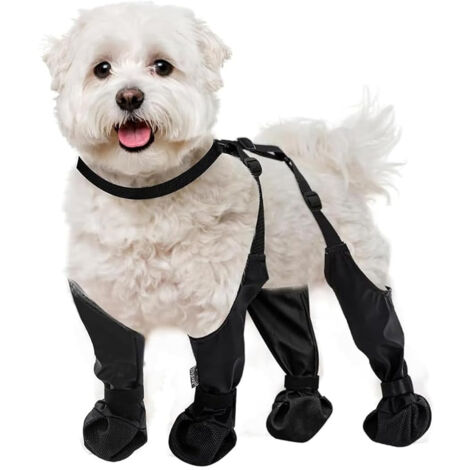 Guêtres Imperméables Welly : Bottes De Pluie Pour Chien, Chaussons Jardin, équitation Et Pêche