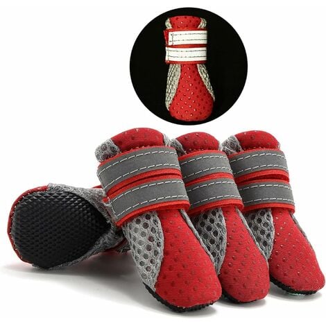 Chaussure Pour Chat A Prix Mini