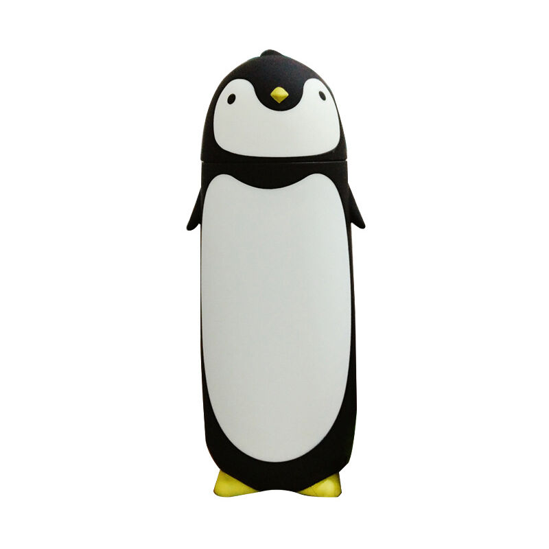 Bottiglia da 300 ml in acciaio inossidabile