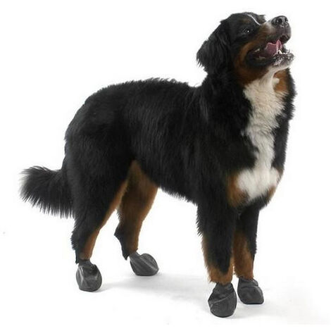 Bottine / chaussettes de protection pour chien - PAWZ Désignation : PAWZ taille M PAWZ 501151