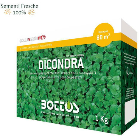 BOTTOS - DICONDRA / 1 Kg - Sementi per prato Macroterme
