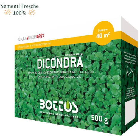 BOTTOS - DICONDRA / 500 g - Sementi per prato Macroterme