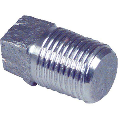Bouchon 4 pans V4A inox 2 1/2" EF 291 male