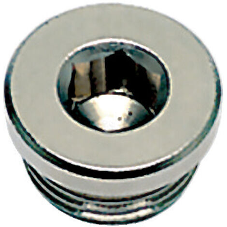 Bouchon à 6 pans creux 0919. laiton nickelé. mâle 1-4 BSPP cylindrique - PARKER HANNIFIN FRANCE SAS
