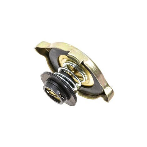 Bouchon de radiateur UNIVERSEL 81747955N