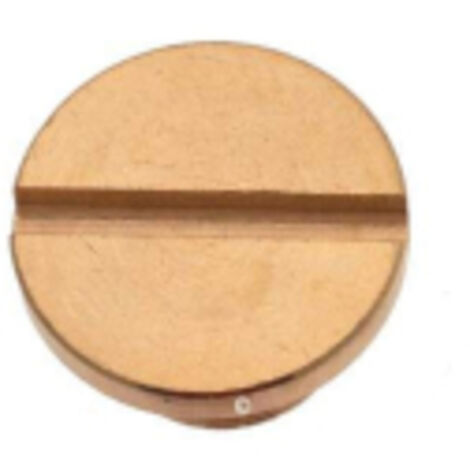Bouchon de vidange Centrale vapeur 500582773 ASTORIA