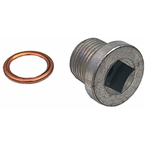 Bouchon de vidange Renault 18 (OE:6084372090) - 3RG