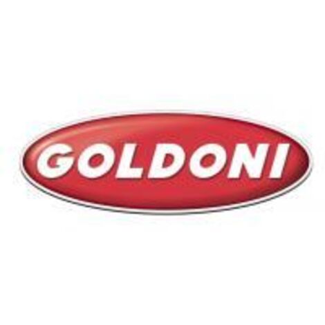 BOUCHON ET VANNE D'AÉRATION 1/4 ORIGINAL GOLDONI 06340370