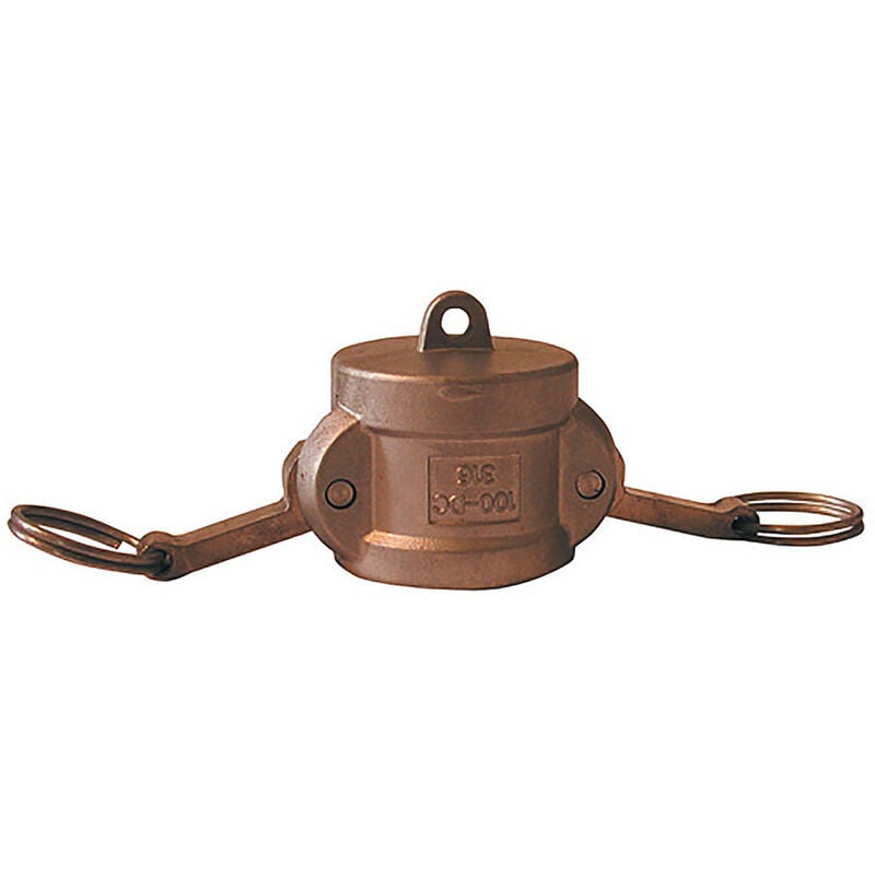 Bouchon femelle camlock en laiton - Type dc - 2''