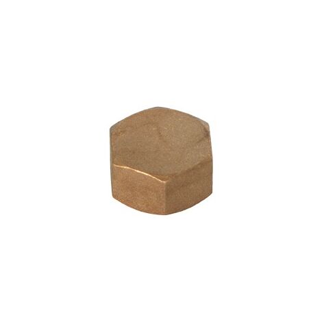 Bouchon laiton 3/4"