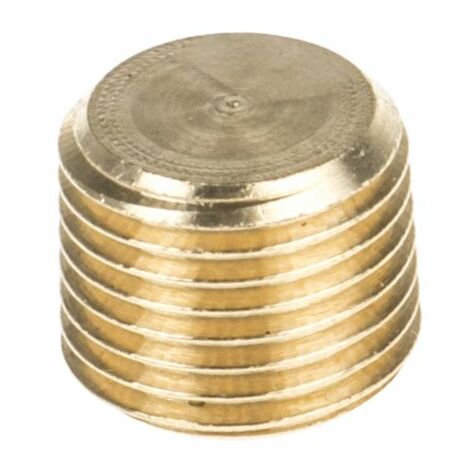 Bouchon Laiton Droit Legris R Mâle 1/8pouce ( Prix pour Paquet de 10 )