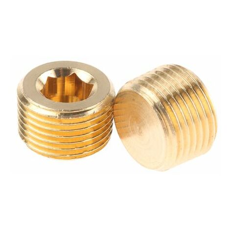 Bouchon Laiton Droit Legris R Mâle 3/8pouce ( Prix pour Paquet de 10 )