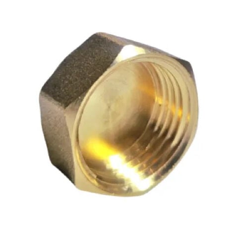 RIQUIER Bouchon laiton tête 6 pans brut à visser - F 12x17