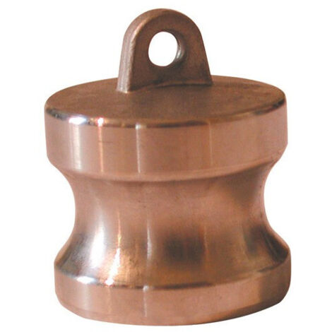 Bouchon male camlock en laiton - Type DP 3/4''