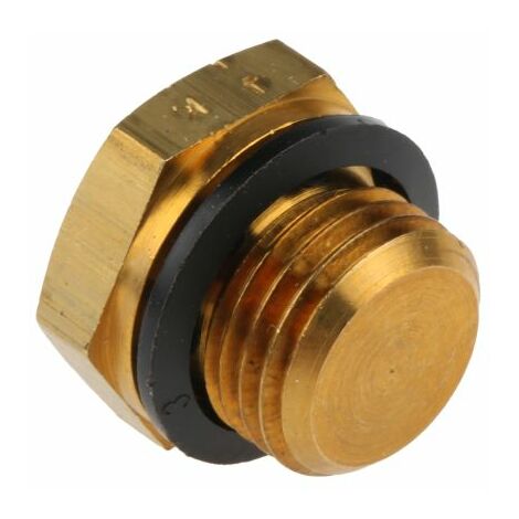 Bouchon obturateur Legris série 0220 G 1/4 Laiton ( Prix pour Paquet de 10 )